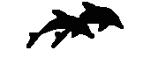 Minoan Dolfin